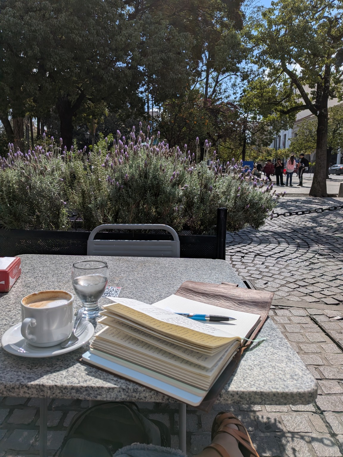 An open journal and a cappuccino on a café table on a sunny plaza in Salta, with lavender and trees behind.